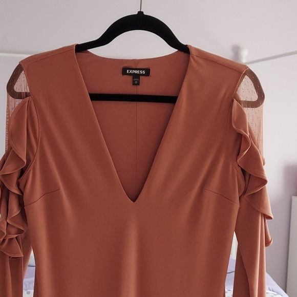 Express Dress - Picture 3 of 3